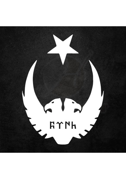 Ay Yıldız Kartal Göktürkçe Türk Oto Sticker Beyaz 30*25 cm
