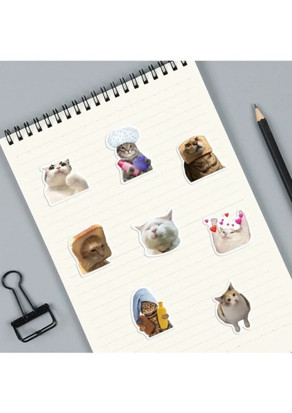Çılgın Kediler Macbook Notebook Tablet Telefon Ajanda Laptop Defter Sticker Seti