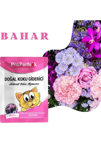Pro Perfeck Bahar Kokulu Koku Giderici 25 gr