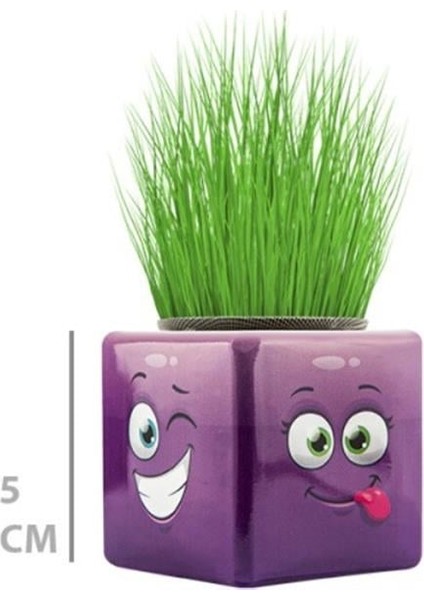 Çim Adam Mini Küp Emoji Figürlü 1 Adet