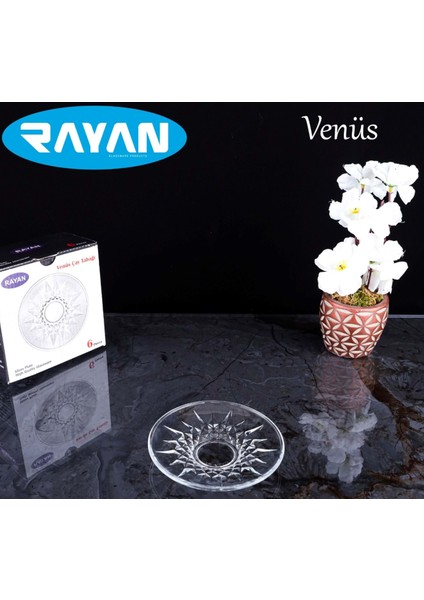 Venüs Çay Tabağı 6'lı ROYALEKS-81731