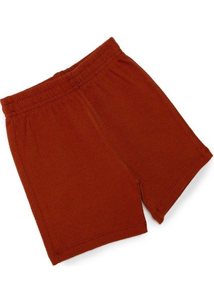 Basic Şort
