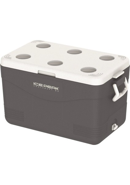 Coolcraft 60 Buzluk 56.4 Litre-Füme fiyatları
