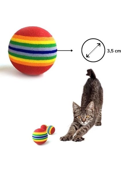 ® 3lü Gökkuşağı Sünger Kedi Köpek Çiğneme Oyun Topu 4,2 cm ( Lisinya )