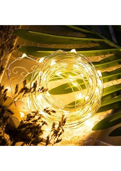 Peri LED 10 Metre USB Girişli