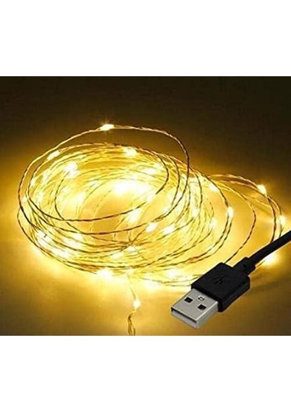 Peri LED 10 Metre USB Girişli