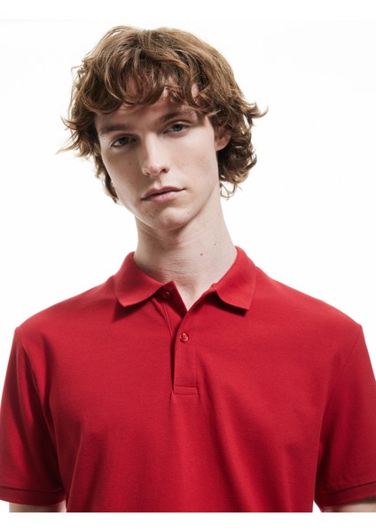 Kısa Kollu Pamuklu Pike Kumaş Polo Yaka Slim Fit Tişört