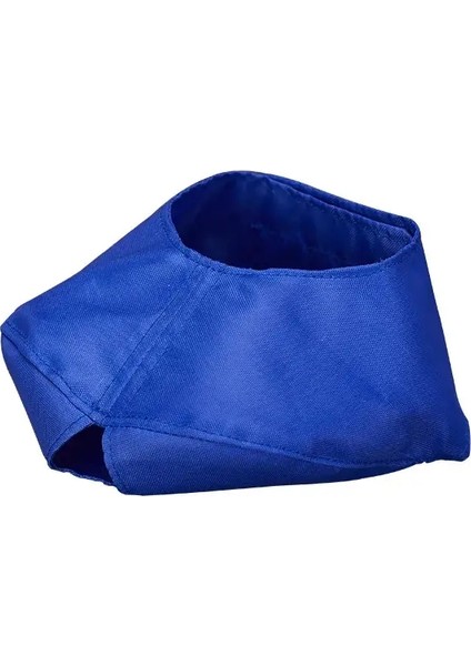 Kedi Anti-Isırma Muzles Nefes Alabilen Naylon Koruyucu Başlık Kedi Kedilerin Isırmasını Önlemek Için Kısıtlama Torbaları Tırnak Kırpma Rengi: Mavi/boyut: M (Yurt Dışından)