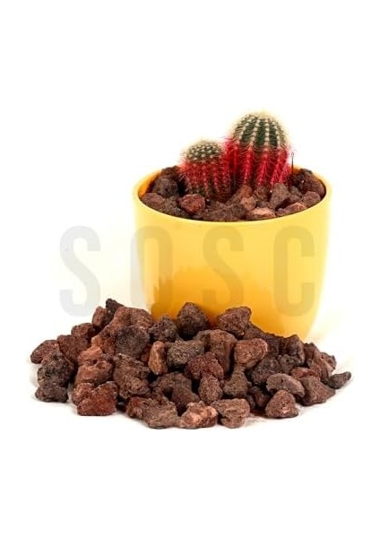 Menashop Metrashop Pomza Taşı 2-3 cm Volkanik Cürüf Ponza Lav Kırığı 1 Lt
