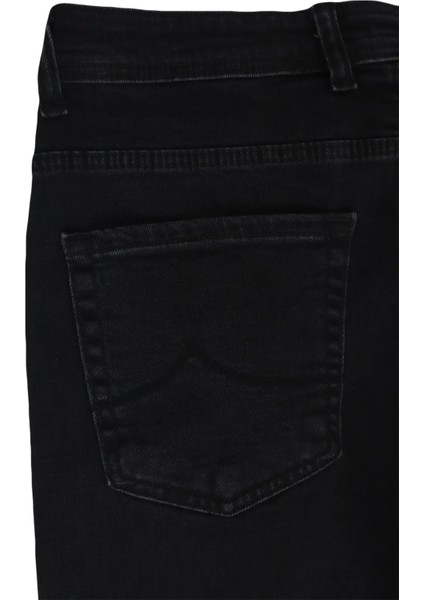 Fistan Store Erkek Füme Yüksek Bel Rahat Kesim Boru Paça Büyük Beden Jean Pantolon indirimleri