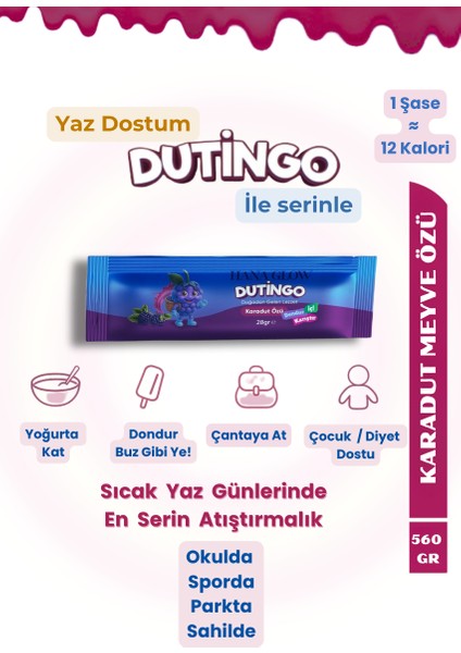 Dutingo Dondurulabilir Karadut Stick | 28GR x 20 Tek Kullanımlık |pestisit & Analizli|