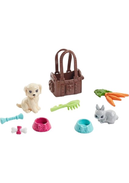 FPR48 Barbie ve Sevimli Hayvan Arkadaşları