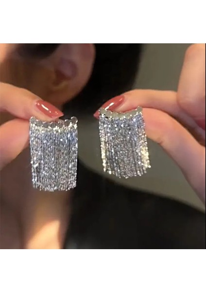 Gümüş Uzun Metal Püskül Küpe Küpe (Yurt Dışından)
