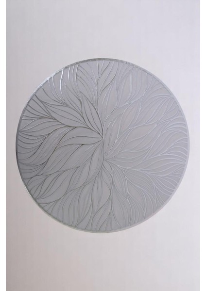 6’lı Amerikan Servisi Supla Yuvarlak Gümüş 38 cm THN76973 C1-1-18