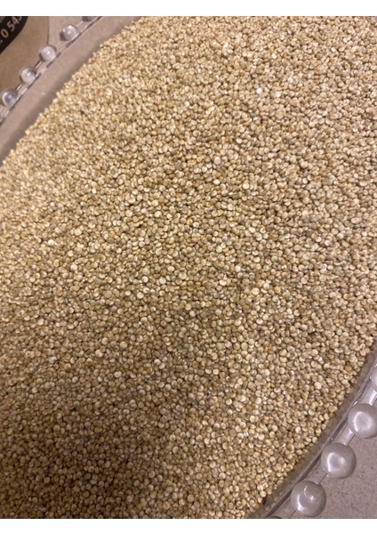 Kinoa Tohumu 250 gr