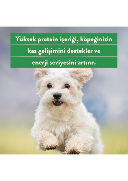 Dana Gırtlak Çiğnemelik Köpek Ödül Maması %100 Doğal, Glutensiz, Organik 100 gr