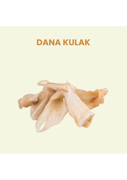 Kurutulmuş Dana Kulak Çiğnemelik Köpek Ödül Maması %100 Doğal, 100 gr (TREAT)