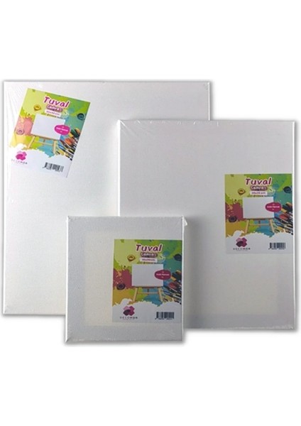 Decomor Canvas Tuval 15X25 Tual - 3 Adet