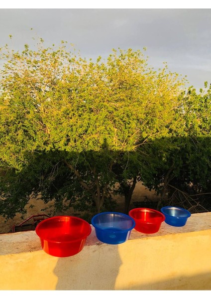 4'lü Simli Badya Plastik Seti Iç Içe Geçen Sebze,meyve Yıkama Hamur Yoğurma Kabı Simli Badya indirimleri