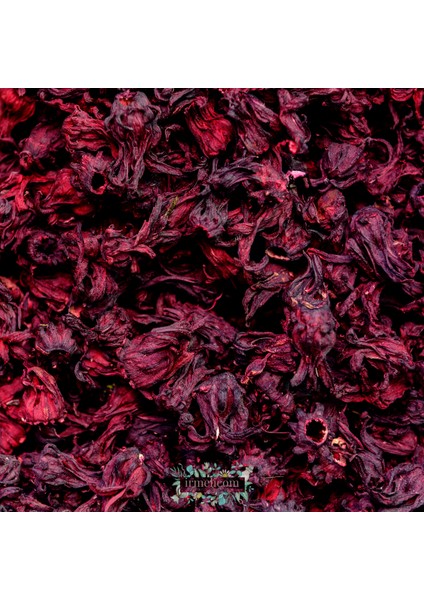 Nar Çiçeği (Hibiscus)