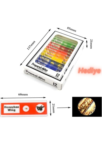 Taşınabilir LED Işıklı Mikroskop 1200X Eğitim Amaçlı Set Hazır Örnekler Hediyeli