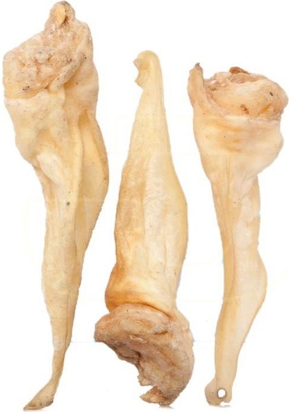Kurutulmuş Kuzu Kulak Çiğnemelik Köpek Ödül Maması %100 Doğal, Glutensiz, Organik 100 gr (DOG TREAT) indirimleri