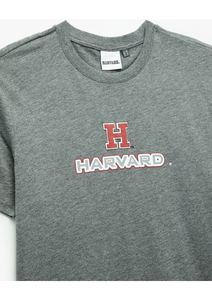 Kısa Kollu Regular Fit Bisiklet Yaka Baskılı Lisanslı Harvard Tişört