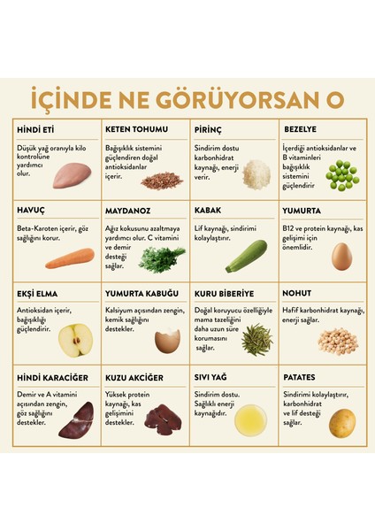 Fresh Hindi Etli x 6 (1,5 Kg) - Tüm Köpek Irkları için Uygundur fırsatları