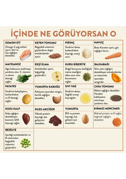 Fresh Somon Etli x 6 (1,5 Kg) - Tüm Köpek Irkları için Uygundur modelleri
