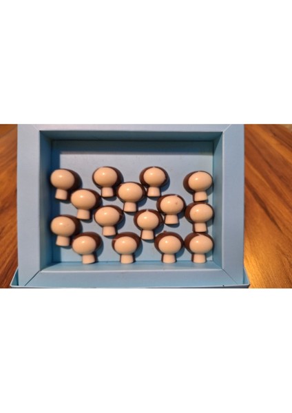 Mantar Spesiyal Hediyelik Çikolata (750 Gr)