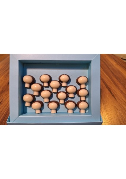 Mantar Spesiyal Hediyelik Çikolata (250 Gr)