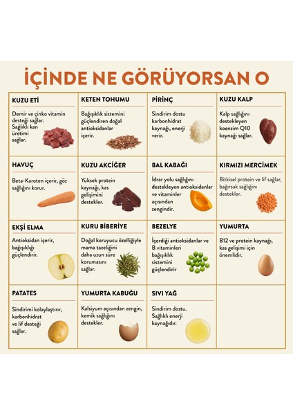 Fresh Kuzu Etli Taze Köpek Yemeği indirimleri