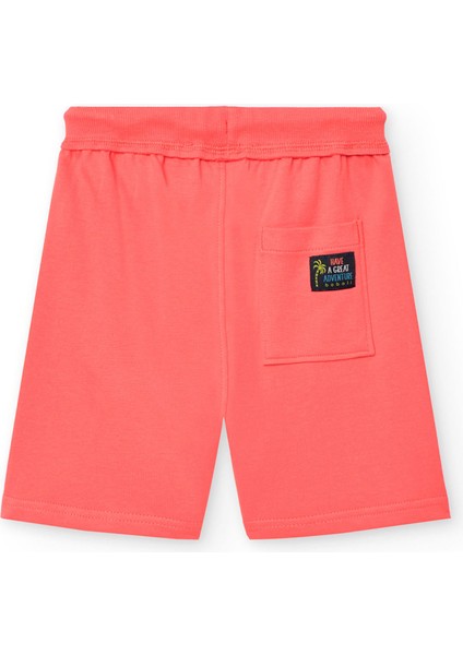 Palmiye Baskılı Erkek Çocuk Çocuk Şort fiyatları