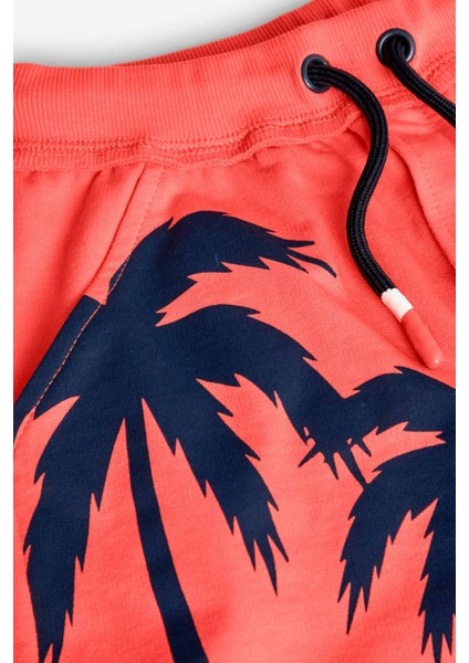 Palmiye Baskılı Erkek Çocuk Çocuk Şort modelleri