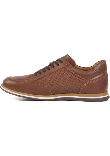 Taba Hakiki Deri Erkek Sneaker 2556 M fiyatları