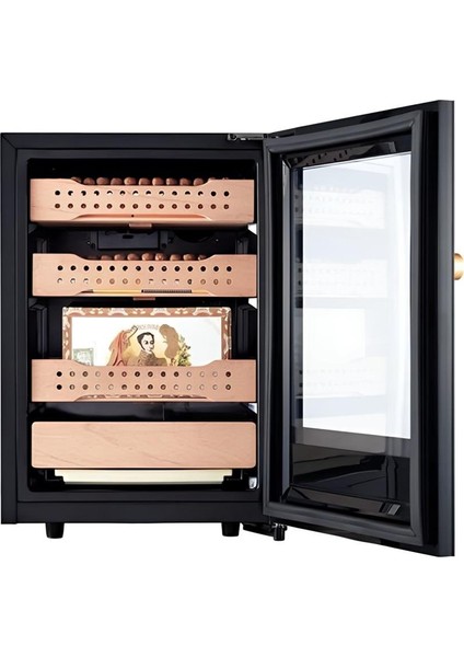 Afidano Elektirik'li Humidor indirimleri