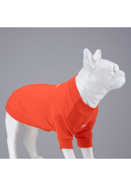 Flex Always Stay Free Küçük ve Orta Irk Köpek Tshirt