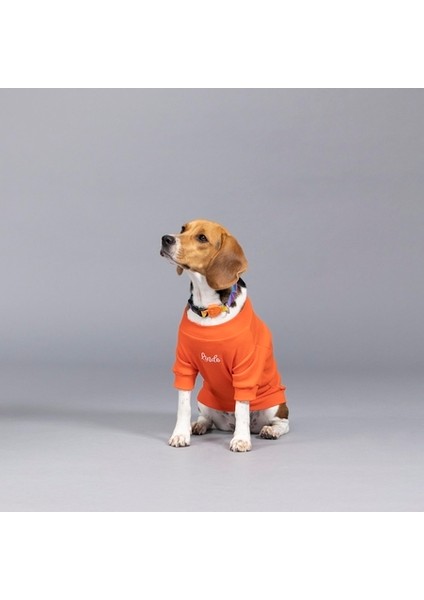 Flex Always Stay Free Küçük ve Orta Irk Köpek Tshirt fiyatları