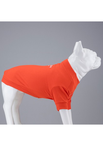 Flex Always Stay Free Küçük ve Orta Irk Köpek Tshirt modelleri