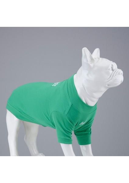 Flex Make Today Amazing Küçük ve Orta Irk Köpek Tshirt