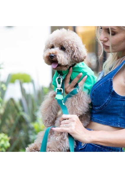 Flex Make Today Amazing Küçük ve Orta Irk Köpek Tshirt fiyatları