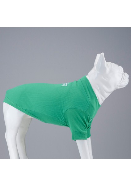 Flex Make Today Amazing Küçük ve Orta Irk Köpek Tshirt modelleri