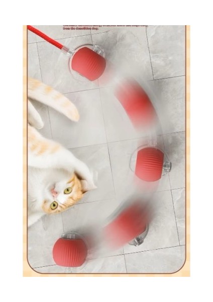 Şarjlı Kedi Oyuncağı modelleri