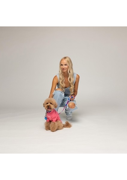 Flex Cotton Candy Küçük ve Orta Irk Köpek Tshirt fiyatları