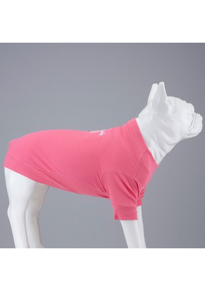 Flex Cotton Candy Küçük ve Orta Irk Köpek Tshirt modelleri
