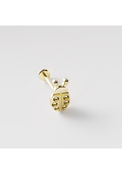 14 Ayar Altın Uğur Böceği Piercing / Tragus, Helix