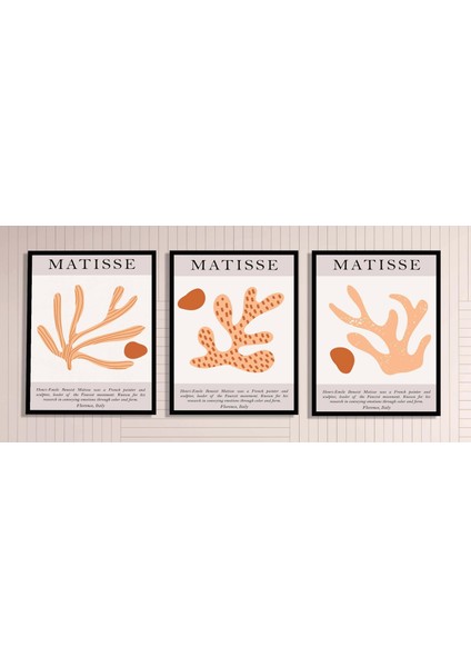 3 Parça Çerçeveli Matisse Ahşap Tablo Seti, Soyut Tablo, Ev Dekoru