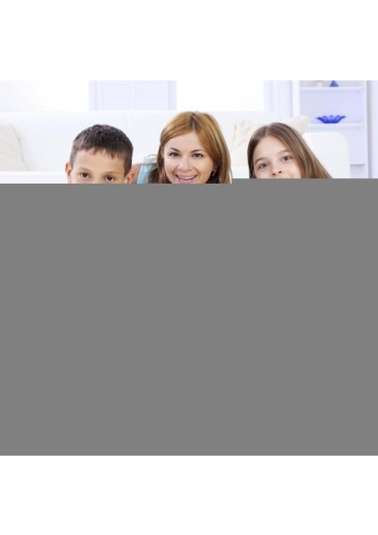 Evcil Hayvan Bit Tarağı fiyatları