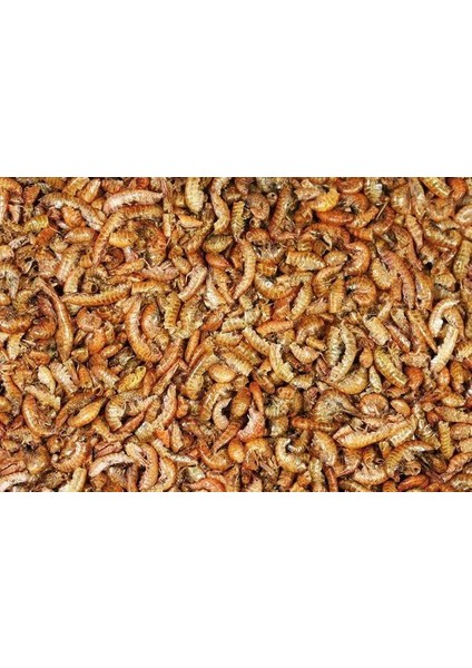 Kurutulmuş Gammarus ( Karides ) Kaplumbağa ve Balık Yemi 500 gr
