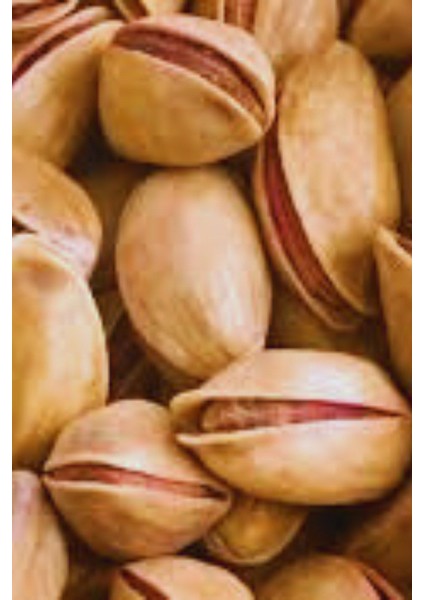 Siirt Fıstığı 400 gr